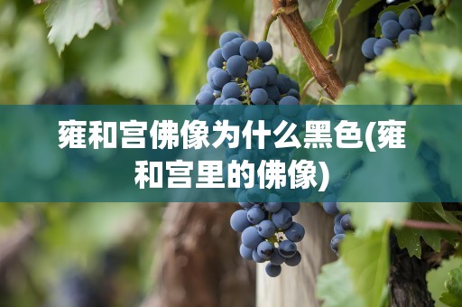 雍和宫佛像为什么黑色(雍和宫里的佛像)