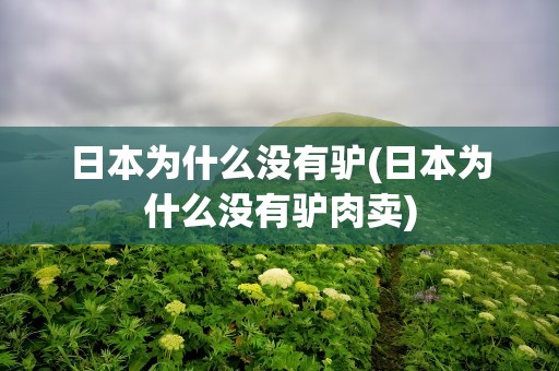 日本为什么没有驴(日本为什么没有驴肉卖)