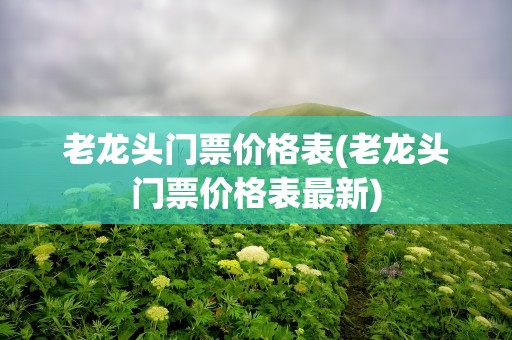 老龙头门票价格表(老龙头门票价格表最新)