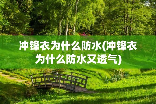冲锋衣为什么防水(冲锋衣为什么防水又透气)