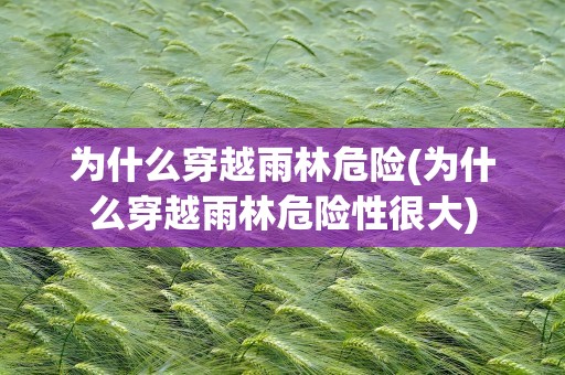 为什么穿越雨林危险(为什么穿越雨林危险性很大)