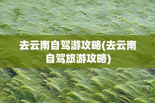 去云南自驾游攻略(去云南自驾旅游攻略)