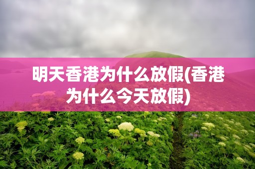 明天香港为什么放假(香港为什么今天放假)