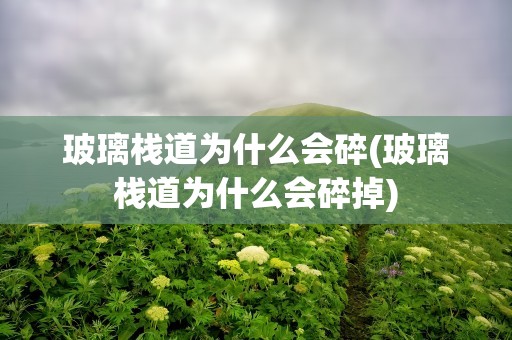 玻璃栈道为什么会碎(玻璃栈道为什么会碎掉)