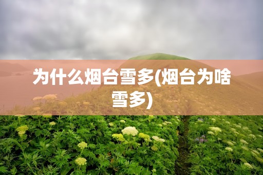 为什么烟台雪多(烟台为啥雪多)