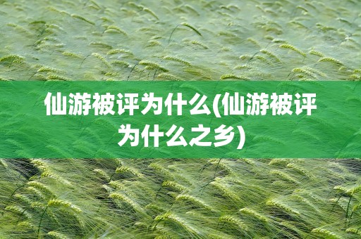仙游被评为什么(仙游被评为什么之乡)