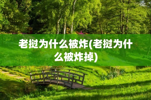 老挝为什么被炸(老挝为什么被炸掉)