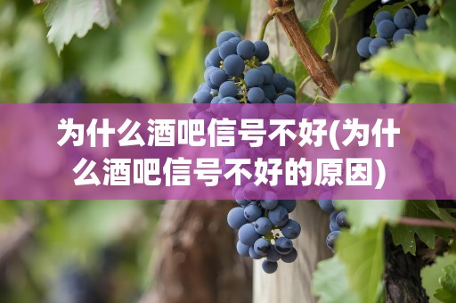 为什么酒吧信号不好(为什么酒吧信号不好的原因)