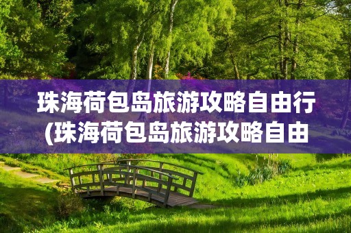 珠海荷包岛旅游攻略自由行(珠海荷包岛旅游攻略自由行路线)