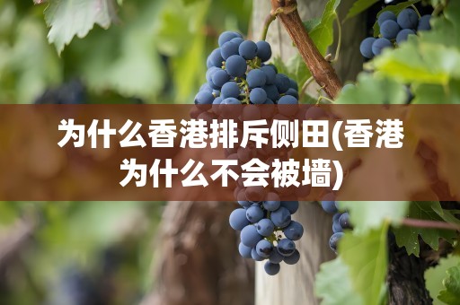 为什么香港排斥侧田(香港为什么不会被墙)