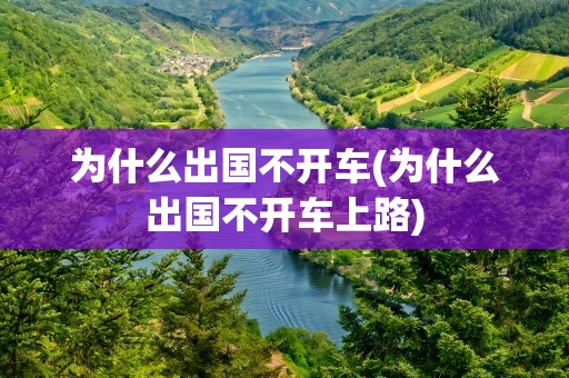 为什么出国不开车(为什么出国不开车上路)