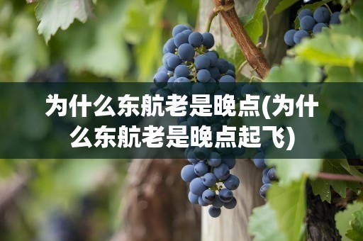 为什么东航老是晚点(为什么东航老是晚点起飞)