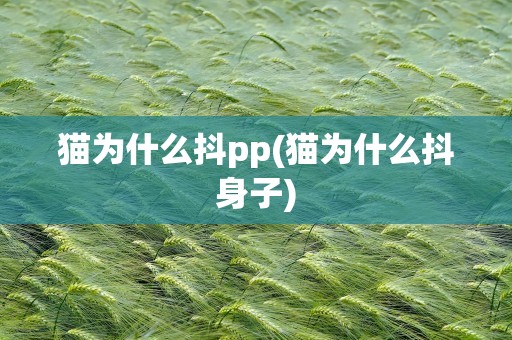 猫为什么抖pp(猫为什么抖身子)