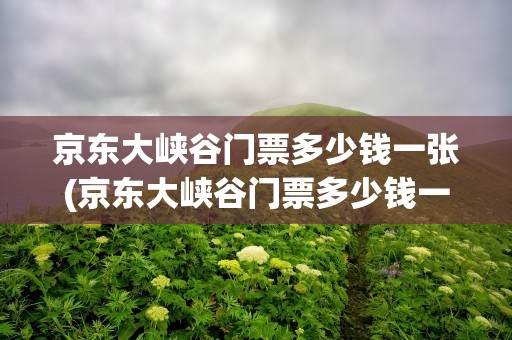 京东大峡谷门票多少钱一张(京东大峡谷门票多少钱一张啊)