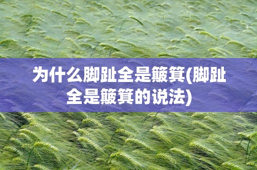 为什么脚趾全是簸箕(脚趾全是簸箕的说法)