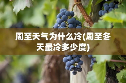 周至天气为什么冷(周至冬天最冷多少度)