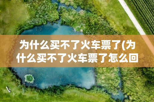 为什么买不了火车票了(为什么买不了火车票了怎么回事)
