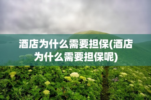 酒店为什么需要担保(酒店为什么需要担保呢)