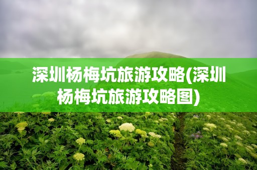 深圳杨梅坑旅游攻略(深圳杨梅坑旅游攻略图)