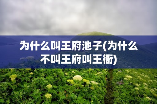 为什么叫王府池子(为什么不叫王府叫王衙)