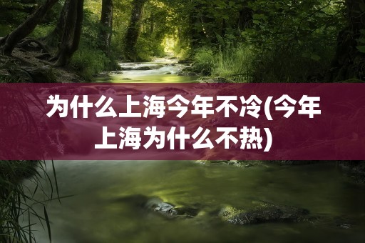 为什么上海今年不冷(今年上海为什么不热)