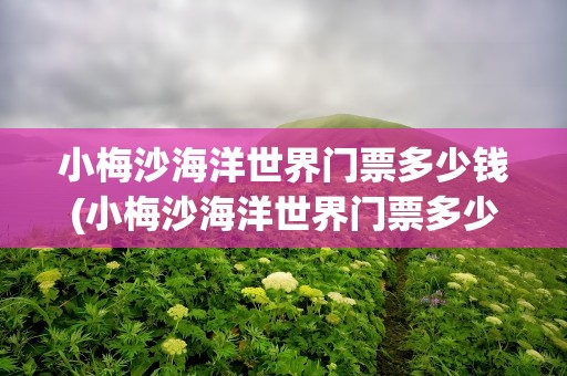 小梅沙海洋世界门票多少钱(小梅沙海洋世界门票多少钱一张)