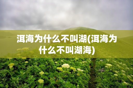洱海为什么不叫湖(洱海为什么不叫湖海)