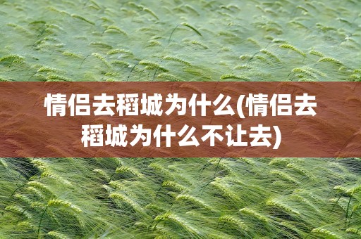 情侣去稻城为什么(情侣去稻城为什么不让去)