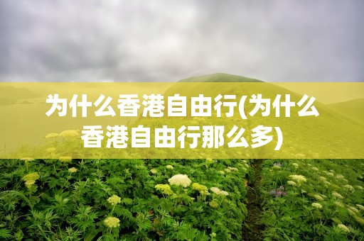 为什么香港自由行(为什么香港自由行那么多)