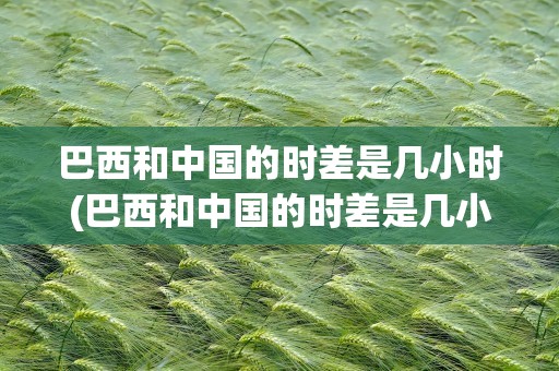 巴西和中国的时差是几小时(巴西和中国的时差是几小时啊)