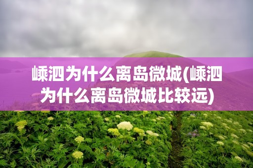 嵊泗为什么离岛微城(嵊泗为什么离岛微城比较远)