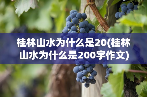 桂林山水为什么是20(桂林山水为什么是200字作文)