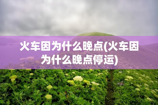 火车因为什么晚点(火车因为什么晚点停运)