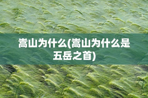 嵩山为什么(嵩山为什么是五岳之首)