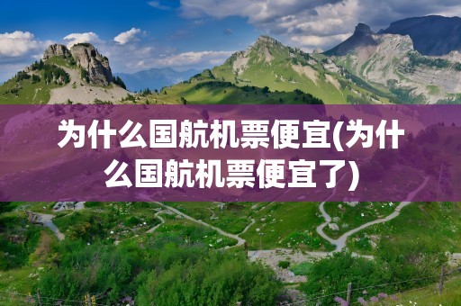为什么国航机票便宜(为什么国航机票便宜了)
