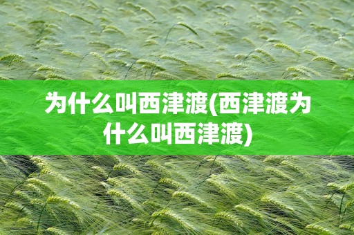 为什么叫西津渡(西津渡为什么叫西津渡)