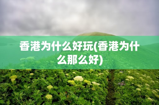 香港为什么好玩(香港为什么那么好)