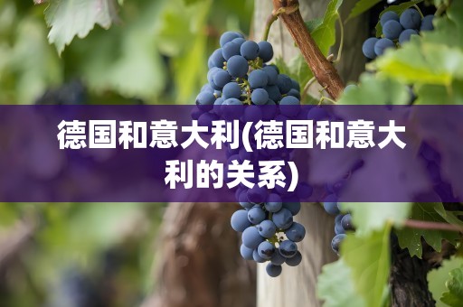 德国和意大利(德国和意大利的关系)