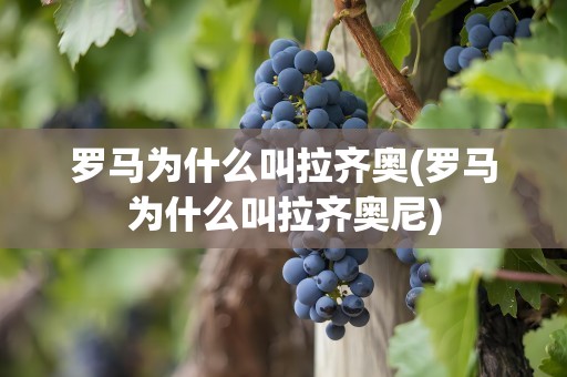 罗马为什么叫拉齐奥(罗马为什么叫拉齐奥尼)