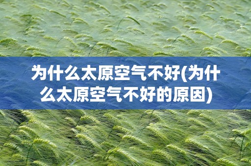 为什么太原空气不好(为什么太原空气不好的原因)