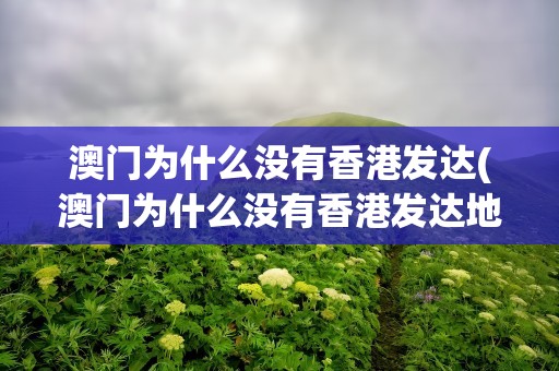 澳门为什么没有香港发达(澳门为什么没有香港发达地区)