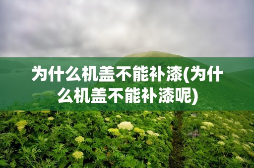 为什么机盖不能补漆(为什么机盖不能补漆呢)