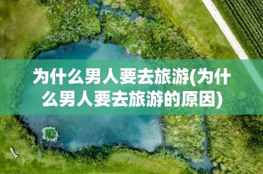 为什么男人要去旅游(为什么男人要去旅游的原因)