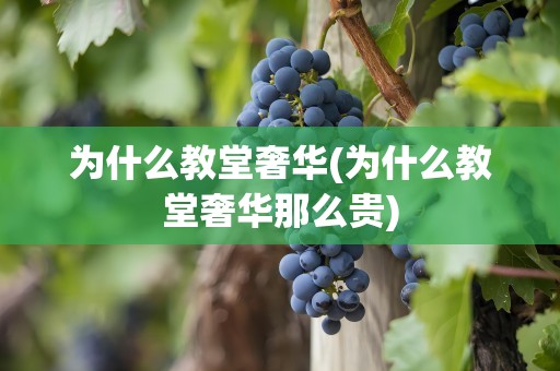 为什么教堂奢华(为什么教堂奢华那么贵)