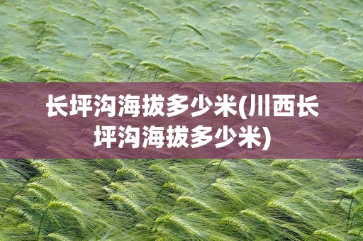 长坪沟海拔多少米(川西长坪沟海拔多少米)