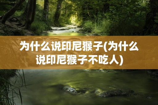 为什么说印尼猴子(为什么说印尼猴子不吃人)
