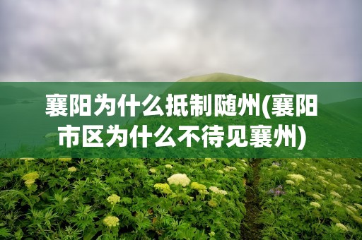 襄阳为什么抵制随州(襄阳市区为什么不待见襄州)