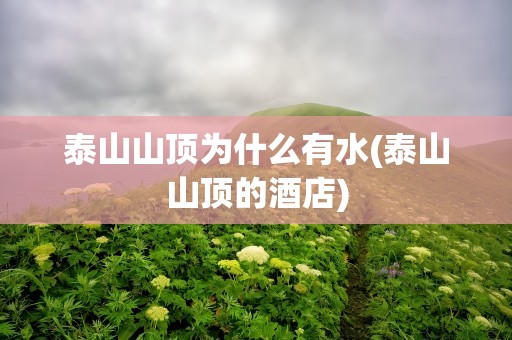 泰山山顶为什么有水(泰山山顶的酒店)
