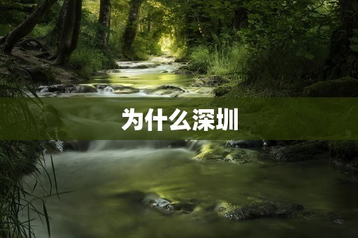 为什么深圳