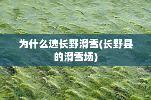 为什么选长野滑雪(长野县的滑雪场)